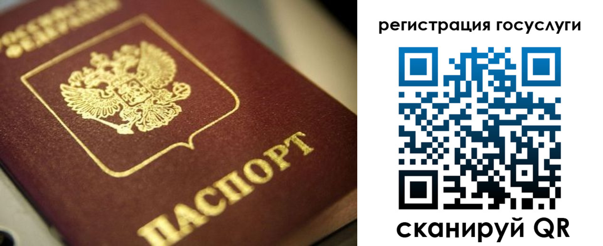 временная регистрация поиск в Кургане